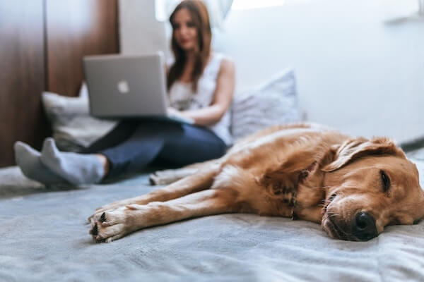 femme étudiant devant ordi